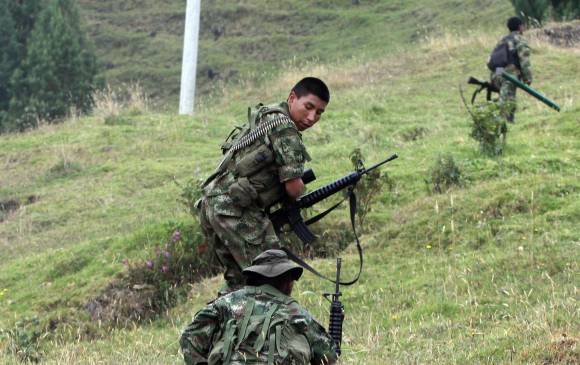 Farc podrían ser indultadas por el delito del narcotráfico