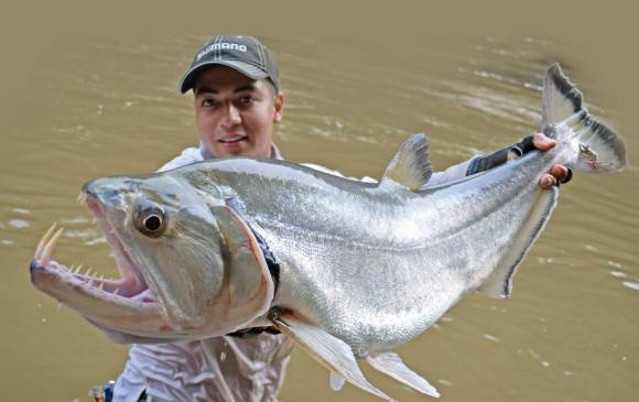 Cristian Vanegas sostiene una payara en el río Guayabero. FOTO Cortesía