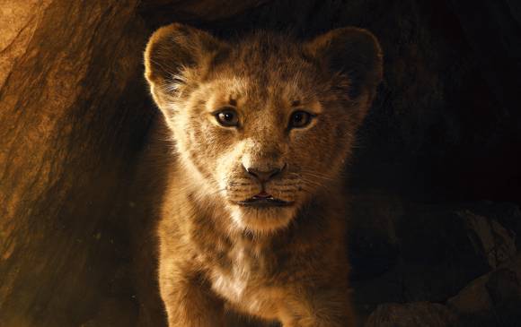 La nueva El Rey León se verá en julio de 2019. FOTO Cortesía CineColor