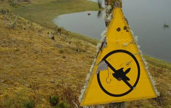 Colombia es el primer país en el mundo en aplicar una evaluación de este tipo, lista roja, en todos sus ecosistemas. FOTO COLPRENSA