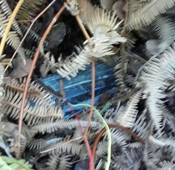 Ejército destruye campo minado del Eln en Tibú, Norte de Santander