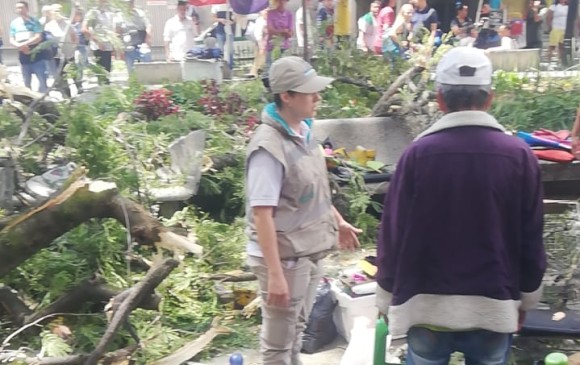 Tremendo susto en plazoleta San Ignacio por caída de una rama