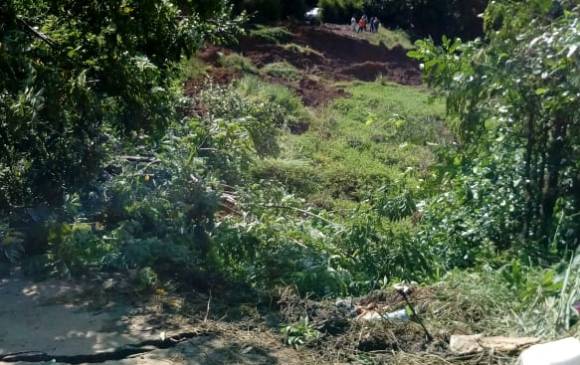 El deslizamiento cubrió al menos 500 metros de la carretera. FOTO CORTESÍA WÍLFER OSPINA