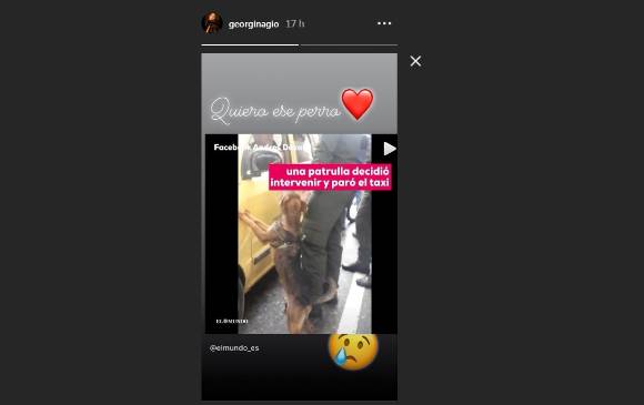 ¿Georgina, esposa de Cristiano, quiere al perrito del taxi?