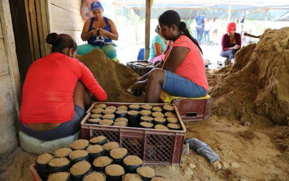 Más del 75 % del personal en el proyecto de Puerto Claver lo constituyen madres cabezas de hogar.