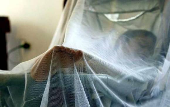 El MSP emitió esta semana una alerta epidemiológica por dengue y chikungunya, en vigor para todo el territorio nacional. FOTO ARCHIVO. 