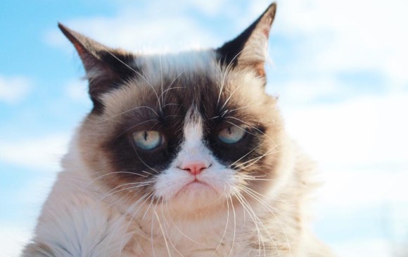 Foto: The Official Grumpy Cat