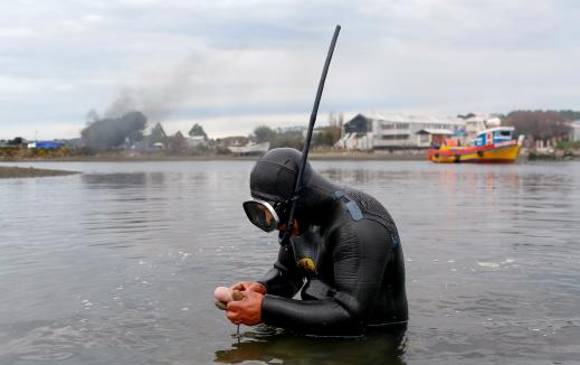 Los expertos aseguran que es “probable” que el fenómeno vuelva a ocurrir. FOTO Reuters