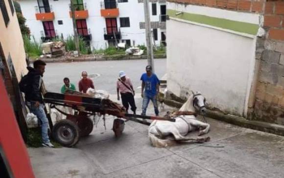  FOTO CORTESÍA ALCALDÍA DE MARINILLA