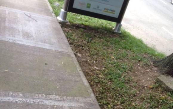 ¿Quién responde por las basuras de McDonalds en Envigado?