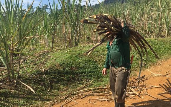 El Gobierno nacional, en cabeza de Planeación Nacional, adecuará 150 mil hectáreas con distritos de riego y drenaje. FOTO: COLPRENSA
