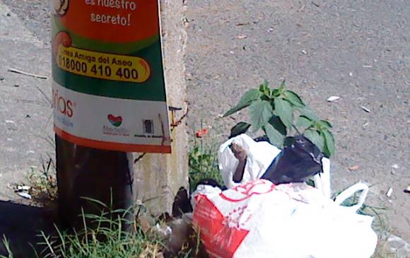 Basura por doquier en los parques de Belén 