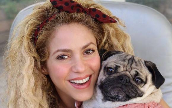 Si todo sale bien para Shakira empezaría su gira en enero. FOTO: @Shakira