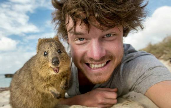 Animales, listos para la foto