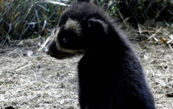 FOTO ÁREA METROPOLITANA