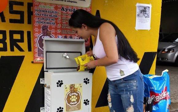 Festín para perros callejeros 
