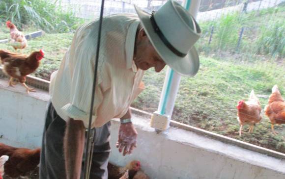 Granja en Antioquia. FOTOS Cortesía URT