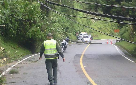 FOTO CORTESÍA JUAN BENÍTEZ