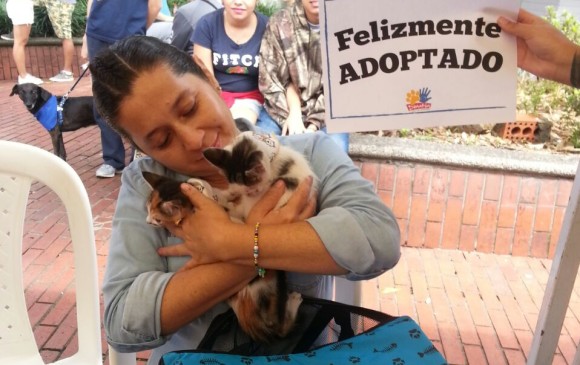 Este domingo hay “adoptatón” de mascotas en el parque de El Poblado