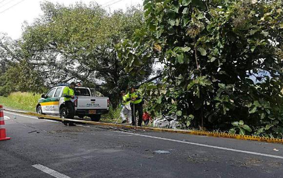 FOTO CORTESÍA