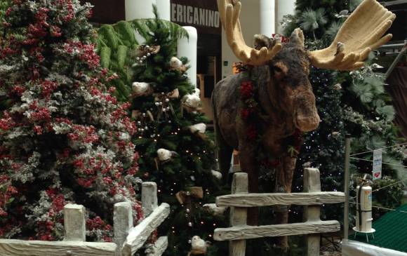 La twitter crónica continuó su recorrido por el Parque Comercial El Tesoro. El tema decorativo de este año es la navidad blanca y la fauna. 