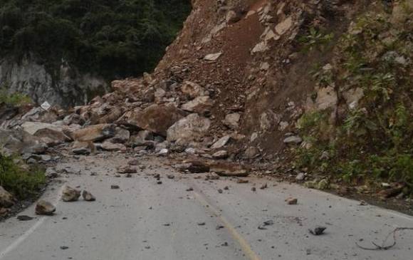 FOTO CORTESÍA @LGranadosR