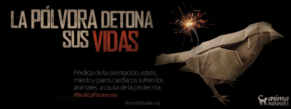 Imagen compartida en redes sociales por AnimaNaturalis Colombia