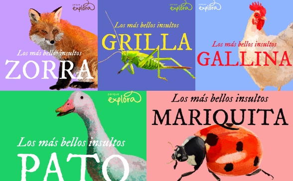 Ser una zorra es ser peligrosamente suave, gobernar con el olor y tener una personalidad solitaria que huye del comportamiento de manada. La zorra es silenciosa, nocturna, monógama casi siempre y muy perseguida. La precede una historia fascinante de unos 7 millones de años. Fuente: Parque Explora.