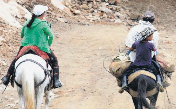 Violencia ha bajado en medio de la negociación