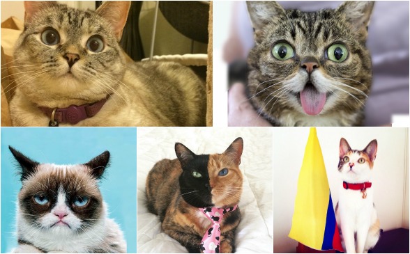  FOTOs Cortesía cuentas de instagram