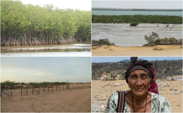 Bahía Portete se encuentra ubicada en La Guajira entre el Cabo de la Vela y Punta Gallinas. La Bahía cubre una superficie aproximada de 125 kilómetros cuadrados. FOTO Cortesía archivo Parques Nacionales Naturales - David Páez 