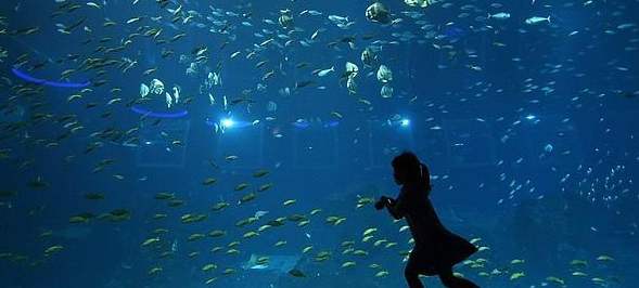 Reuters