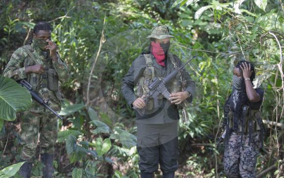 El narcotráfico es la principal fuente de financiación del Eln en Norte de Santander. FOTO DONALDO ZULUAGA