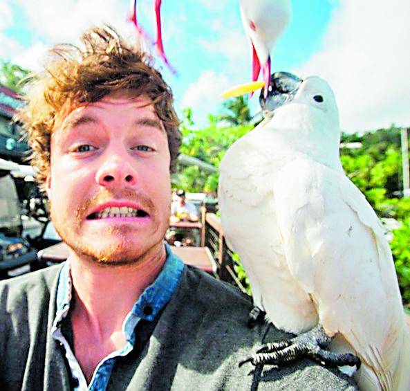 Animales, listos para la foto
