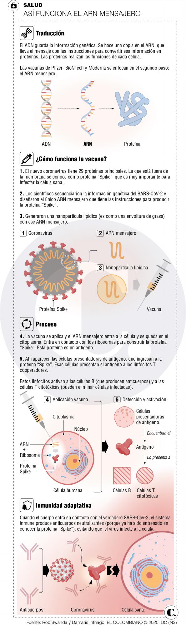 InfogrÃ¡fico