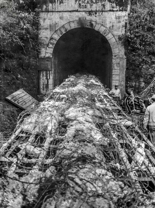 La evacuación de los lugareños del sector evitó que la tragedia fuera más grande Foto: Archivo El Colombiano.