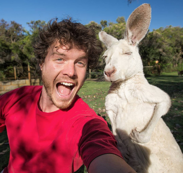 Animales, listos para la foto