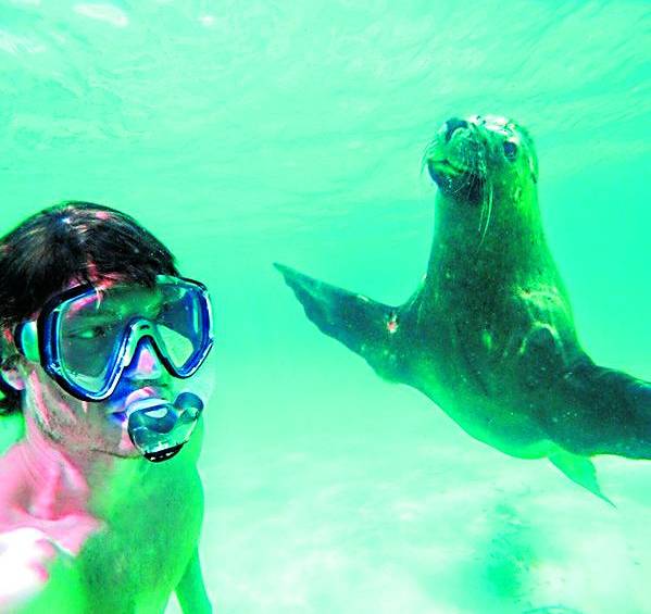 Animales, listos para la foto