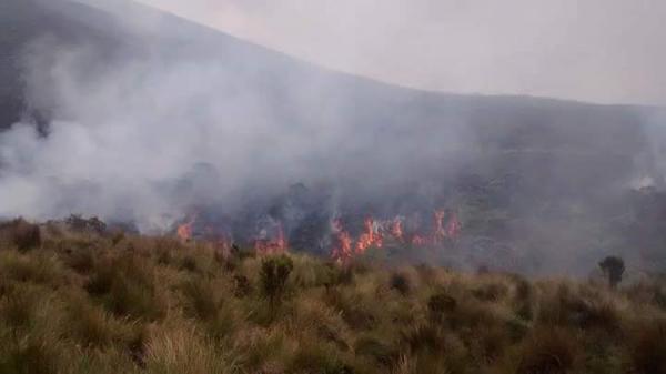 El director encargado de Parques Nacionales Carlos Mario Tamayo reveló este lunes que el incendio forestal en el Parque Los Nevados arrasó 150 hectáreas y ya fue controlado. FOTO COLPRENSA