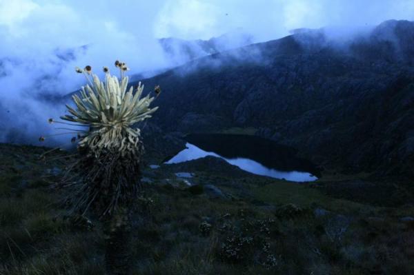 La decisión de la Corte incide en páramos como el de Santurbán. Foto ARCHIVO.