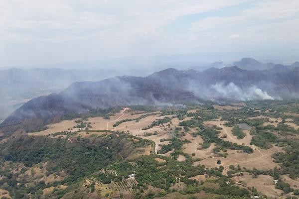 la Unidad de Gestión de Riesgo de Desastres confirmó que hasta el momento se han presentado 15 incendios forestales en los departamentos de Boyacá, Cundinamarca y Antioquia. FOTO Colprensa