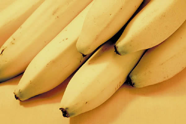 Las ventajas del banano radican en que es rico en minerales como el potasio, además contiene vitaminas del complejo B, ácido fólico y como todas las frutas es rico en fibra. FOTO ARCHIVO