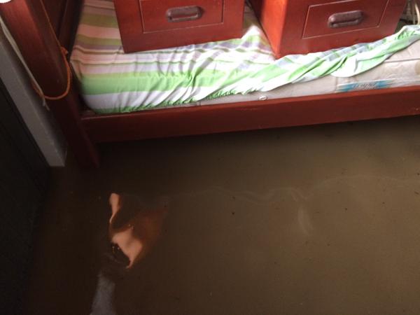 Los municipios de de Yopal, Maní y Nunchía fueron declarados en calamidad pública debido a la emergencia invernal que atraviesa el departamento, confirmaron las autoridades. FOTO @HONEYBERT1