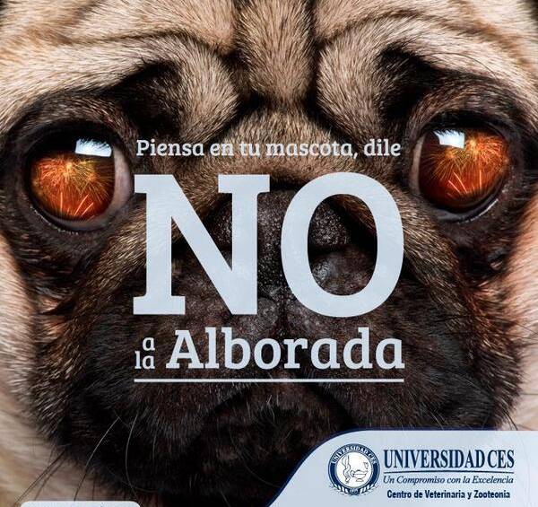 Imagen compartida en redes sociales por la Universidad CES