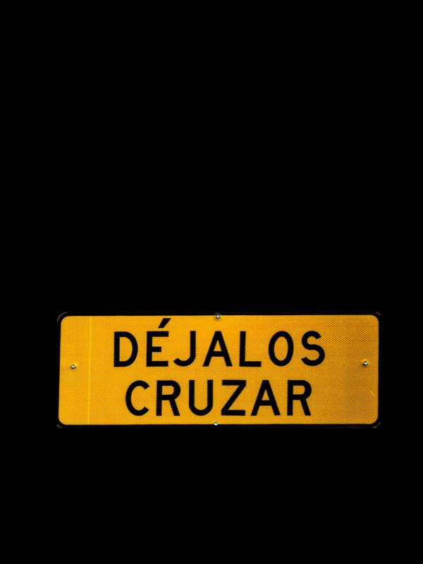 La expansión urbana en el Valle de Aburrá limita los hábitats de las especies y la alta velocidad de los vehículos es otro factor de riesgo para ellas. FOTO: Camilo Suárez