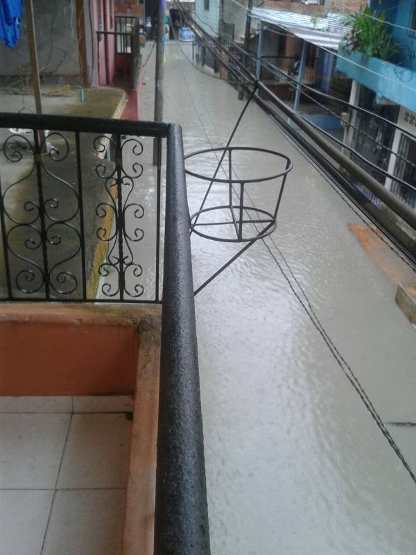 FOTO CORTESÍA
