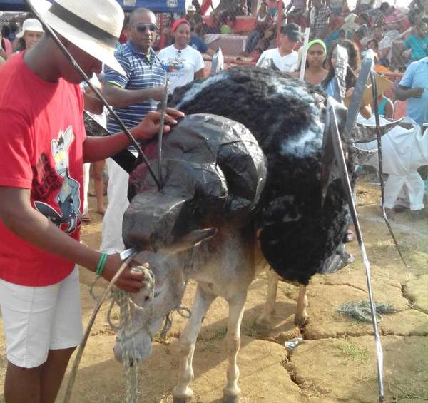 El Chikunburro fue el ganador del concurso de disfraces en el Festival Nacional del Burro, en San Antero. FOTO Deiby Palomino @deibysmanuel