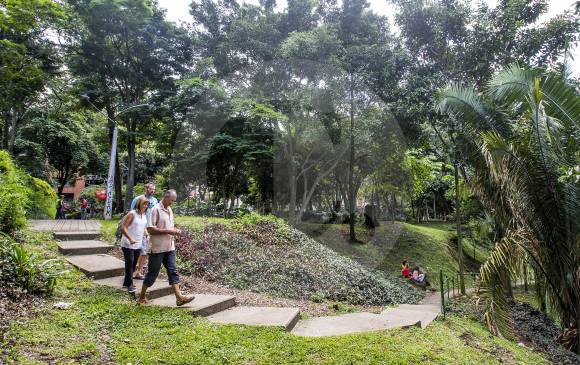 A pesar de lo frondosos que son los árboles del parque, esto ha sido un agente de inseguridad a corregir. FOTO Jaime Pérez