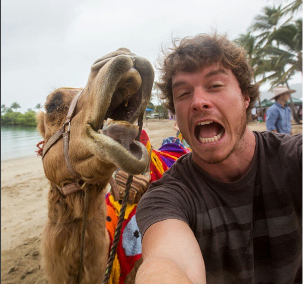 Animales, listos para la foto