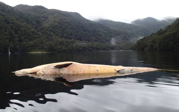 Foto: AP